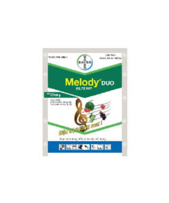 MELODY DUO 66.75WP