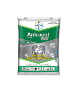 Thuốc trừ bệnh - ANTRACOL 70WP