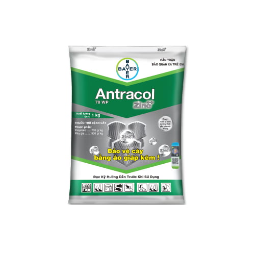 Thuốc trừ bệnh - ANTRACOL 70WP