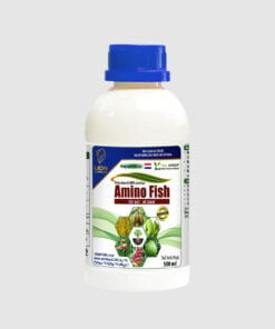 Dinh dưỡng sinh học AMINO FISH